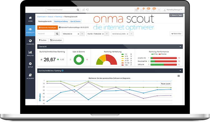 Search engine marketing